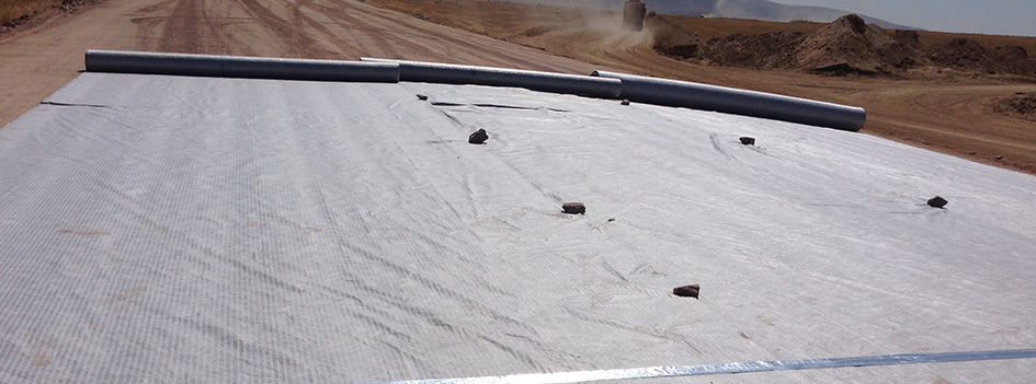 Geogrid