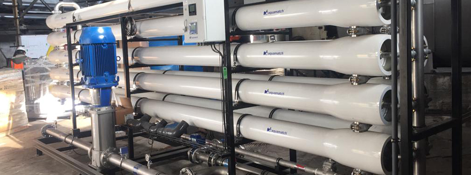 Purification Systems