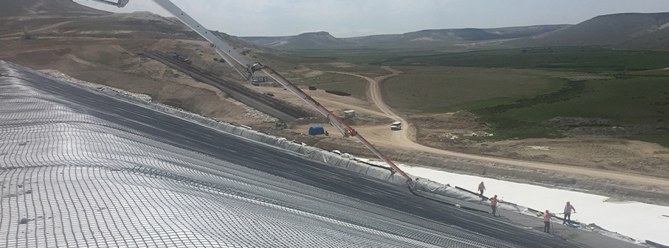 Geogrid