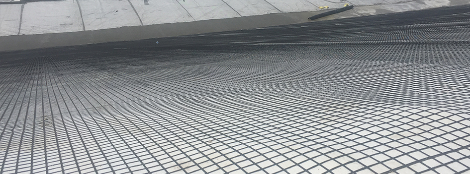 Geogrid