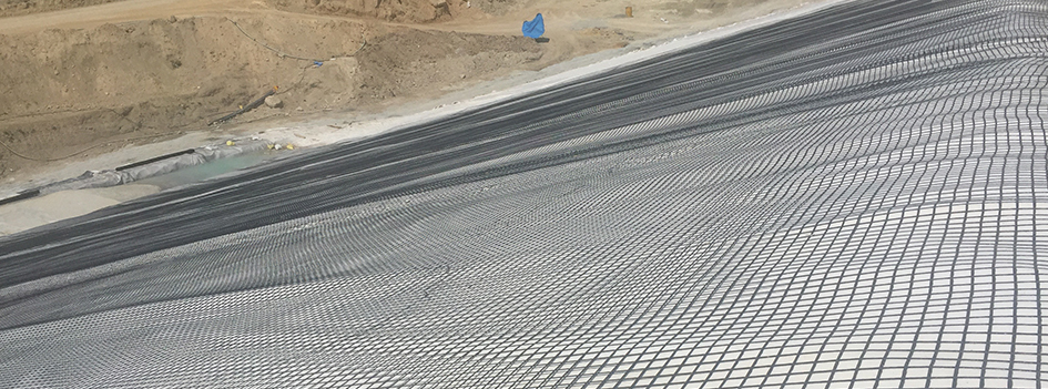 Geogrid